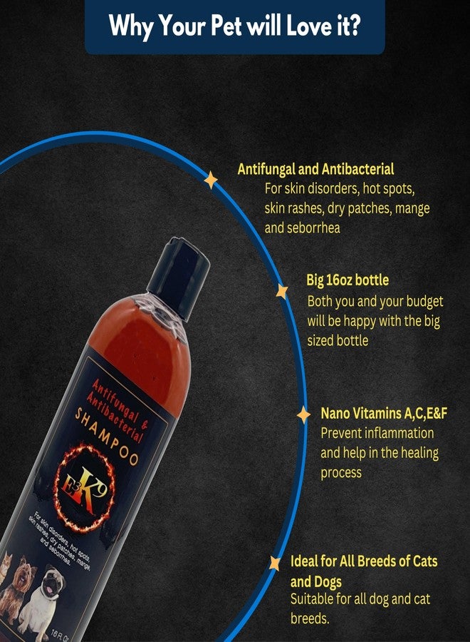E3 شامبو E3K9 الطبي للكلاب والقطط - مضاد للفطريات ومسكن للحكة الجلدية مع الكيتوكونازول والثيمول - علاج البقع الساخنة والجرب والتهاب الجلد الدهني - شامبو مضاد للفطريات للكلاب المصابة بالخميرة - Image 5