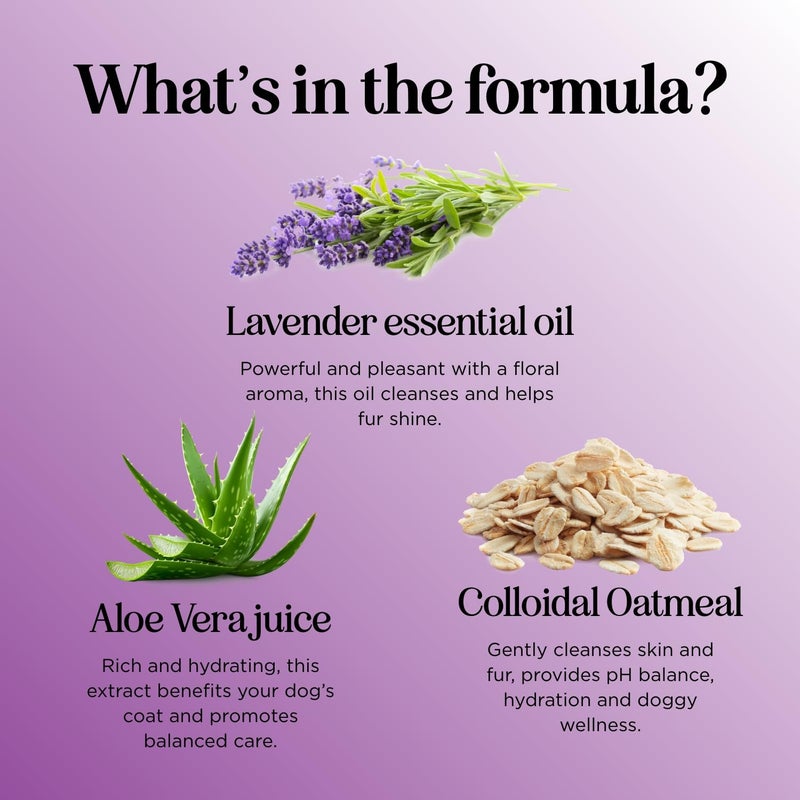 Honeydew Soothing Oatmeal Shampoo for Dogs - Cleansing and Moisturizing Aloe & Oatmeal Dog Shampoo for Smelly Dogs of all Ages & Breeds - Gentle Sulfate and Paraben Free Dog Wash Made in USA (Lavender Vanilla) - Image 5