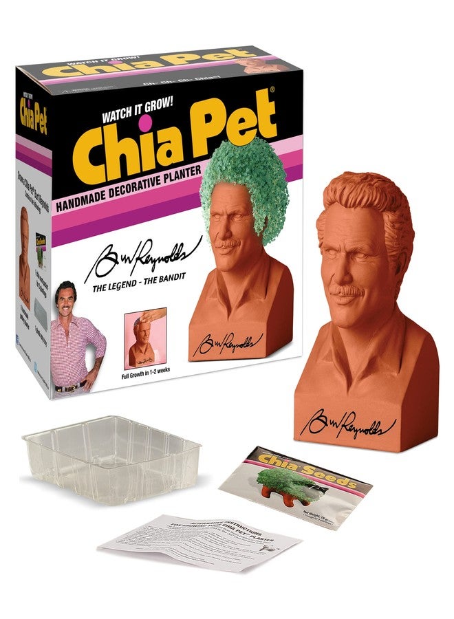 Chia Pet - Burt Reynolds - Image 2