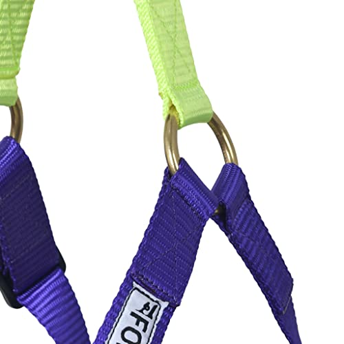 Forfurs Step-in Harness Dog Harness - Small, Ultra Violet X Lime Green - Image 5