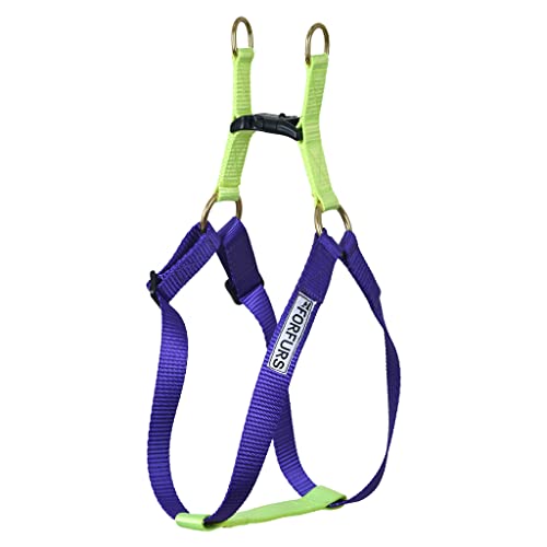 Forfurs Step-in Harness Dog Harness - Small, Ultra Violet X Lime Green - Image 1