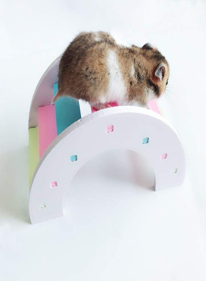 زيسويل مجموعة ألعاب الهامستر من زسويل: جسر خشبي، مجموعة تسلق بألوان قوس قزح، عجلة تمارين، دوار صامت، طبق طائر للهامستر - Image 4