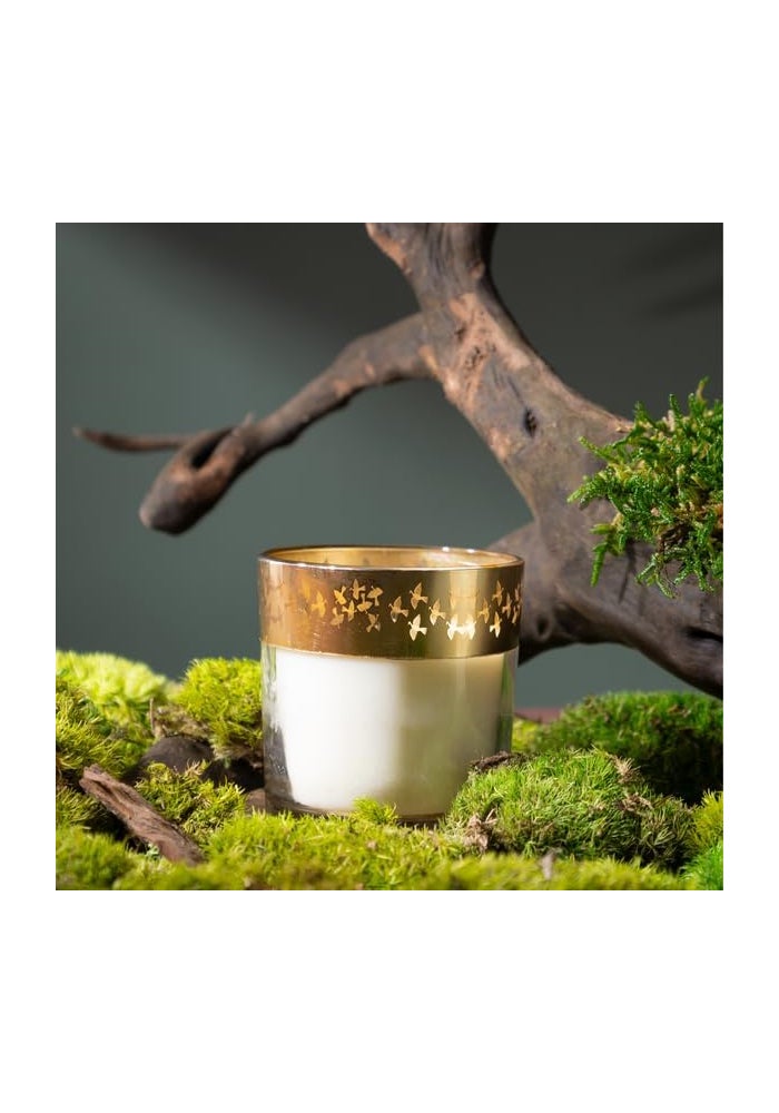 سيفا هوم شمعة معطرة من سيفا هوم - إنشانتي - ديل سي (حرير الزعفران - طيور) | تصميم فن وورلي | احتراق لمدة 25 ساعة | شمع الصويا الطبيعي | ديكور منزلي ثقافي وهدايا فاخرة - Image 4