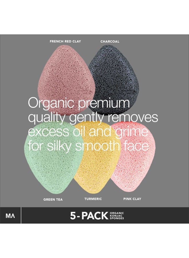 Minamul Konjac Exfoliating Organic Facial Sponge Set Gentle daily face scrub/skincare Safe for Oily, Dry, Combination or Sensitive skin Charcoal, Turmeric, French Green, Red & Pink Clay - Image 3