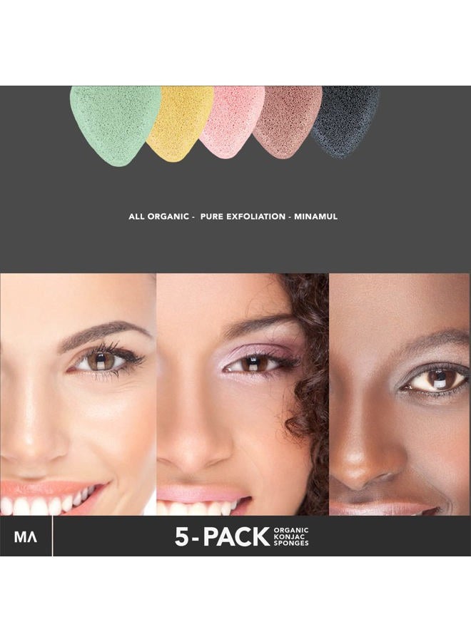 Minamul Konjac Exfoliating Organic Facial Sponge Set Gentle daily face scrub/skincare Safe for Oily, Dry, Combination or Sensitive skin Charcoal, Turmeric, French Green, Red & Pink Clay - Image 5