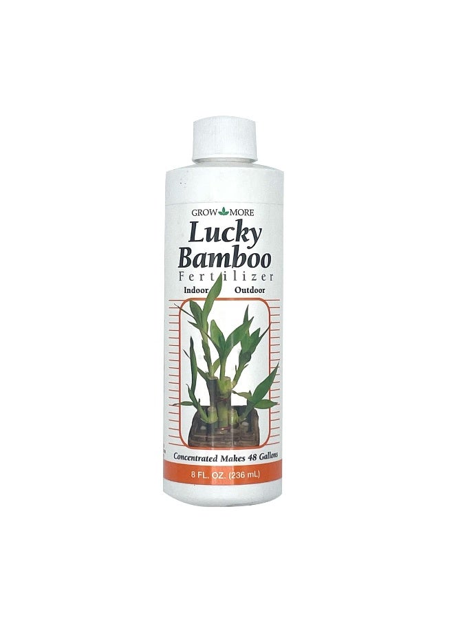 Grow More 7857 Lucky Bamboo 2-2-2، 8 أونصة  - Image 3