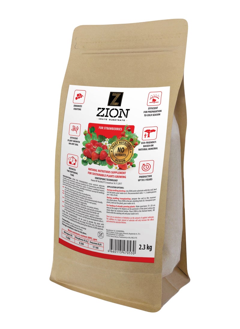 ZION Strawberries, 2.3kg - pzsku/ZF91E55147F48731D0B08Z/45/_/1721203180/b7f38d7d-ba76-42b4-841b-91d5c1e1cec3