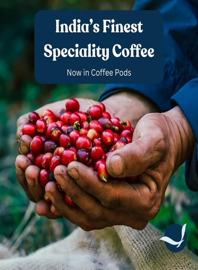 Toffee Coffee Roasters |Mysore Nuggets Coffee Pods | Pack of 1 (10 Capsules)| Nespresso Compatible | AAA Speciality Grade | Notes: Nutty & Dark Chocolaty | Roast: Dark| - Image 3