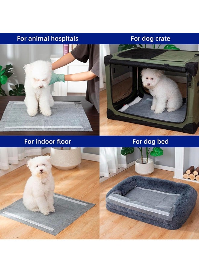 Generic - Disposable Underpads Dog Pads and Puppy  Training Pee Pads, Pet Training and Puppy Pads Pee Pads with Activated Bamboo Charcoal Super Absorbent, Waterproof, Quick Dry, 6 Layers Leak-Proof and Odor Control for a Fresh Environment for Puppies Dogs and Pets Training , Absorbent Pee Pads for Dogs Super Absorbent & Leak-Proof, - Image 1