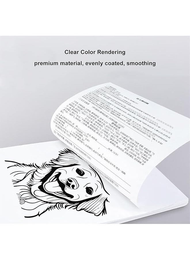 Sorandy - A4 Thermal Paper Multipurpose Thermal Printer Paper 210Mm 8.27Width 8M Long Φ1.18 Paper Replacement For Portable A4 Thermal Printer - Image 1
