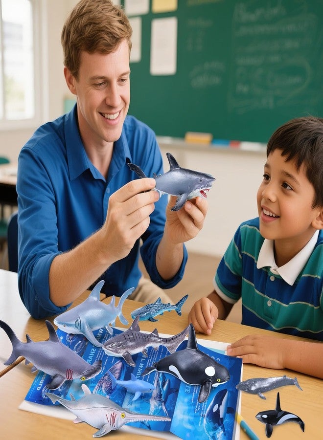 SIENON 11pcs Shark Figures with Booklet, Realistic Shark Toys, 7pcs 5.5” Lifelike Sea Creatures Bath Toys with 4pcs 3” Small Whale Shark Ocean Animal Figurines for Kids Educational Birthday Cake Décor - Image 3