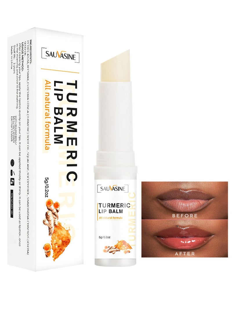 SAUVASINE Turmeric Lip Balm, All Natural Formula, Hydrating Deep Moisturizing Lip Care for Cracked & Dry Lips, Lip Moisturizer  - Image 1