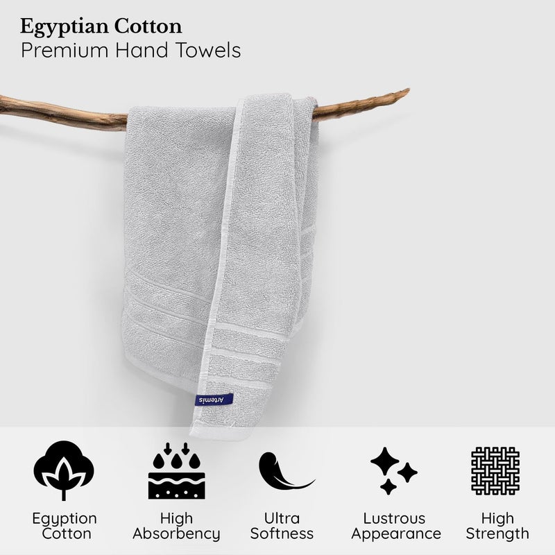 Sassoon Artemis Egyptian 2 Piece Cotton Hand Towel | 40x60 cm | Glacier - Image 2