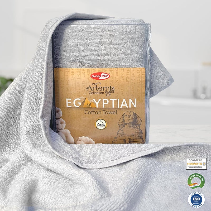 Sassoon Artemis Egyptian 2 Piece Cotton Hand Towel | 40x60 cm | Glacier - Image 3