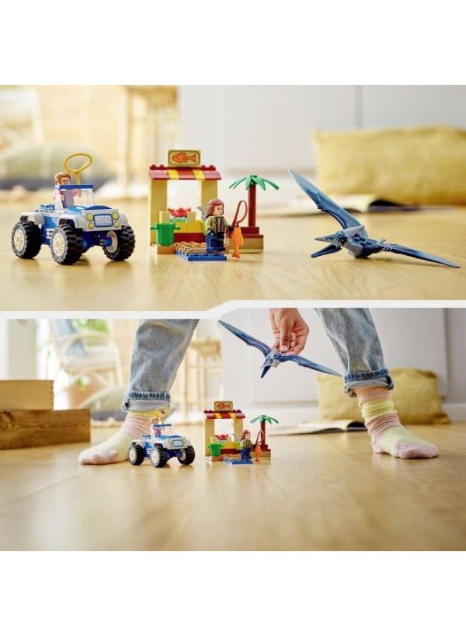 Pteranodon Chase