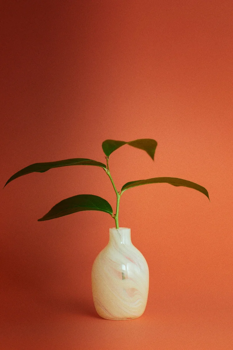H&M Small glass vase
