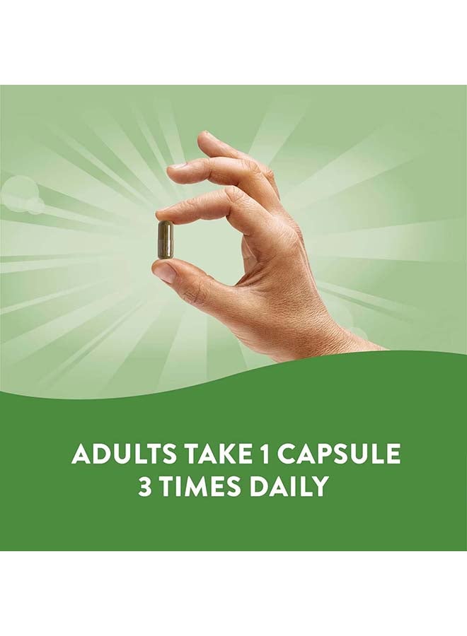 Nature's Way Horsetail Grass Dietary Supplement - 100 Capsules - Image 4