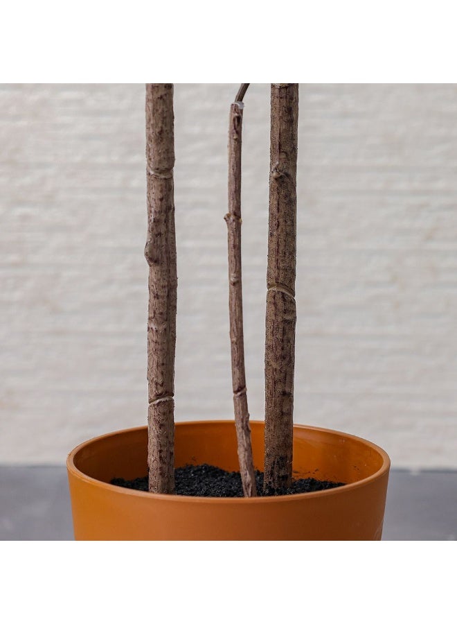 DANUBE HOME نبات إنكيانثوس الصناعي في وعاء 180 سم، شجرة مزيفة أنيقة وطويلة للديكورات المنزلية والمكتبية، أوراق ذات مظهر طبيعي وقاعدة وعاء متينة - أخضر - Image 3