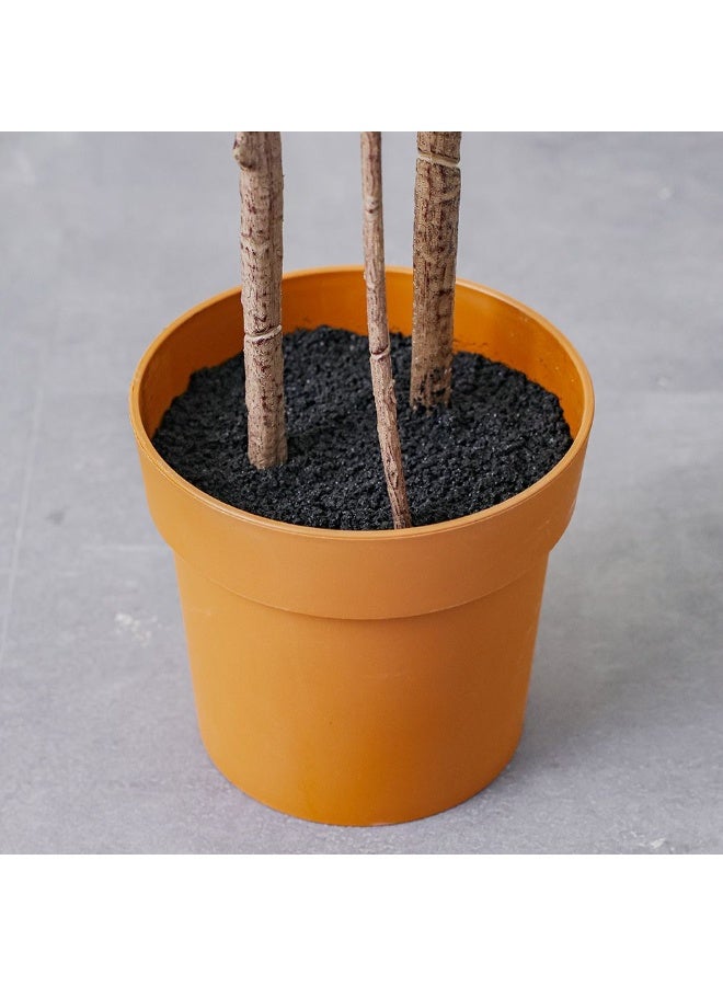 DANUBE HOME نبات إنكيانثوس الصناعي في وعاء 180 سم، شجرة مزيفة أنيقة وطويلة للديكورات المنزلية والمكتبية، أوراق ذات مظهر طبيعي وقاعدة وعاء متينة - أخضر - Image 4