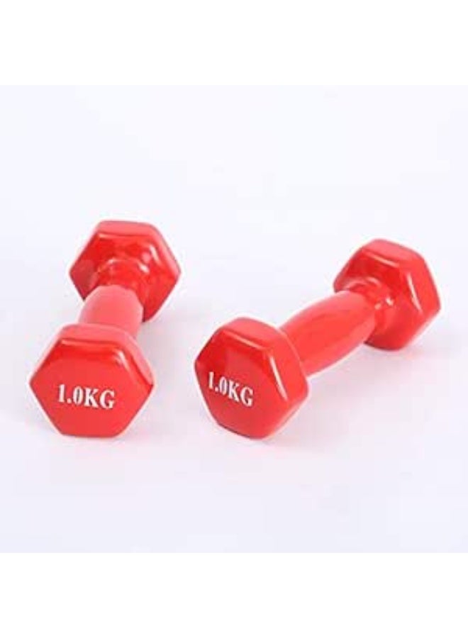 في سبورت دمبل حديد مطلي بالفينيل بوزن 1 كجم ، مجموعه من قطعتين ، من في سبورت - Image 3