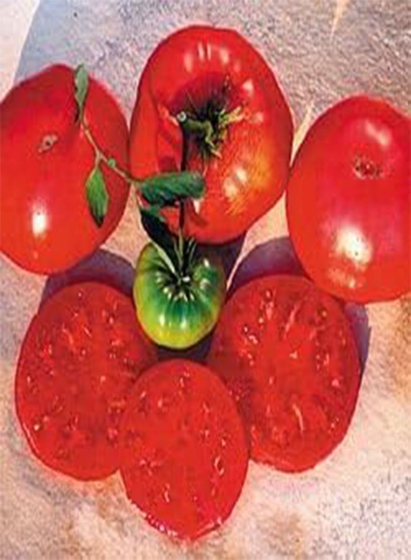 GGOOT Tomato Crnkovic Yugoslavian 100 Seeds