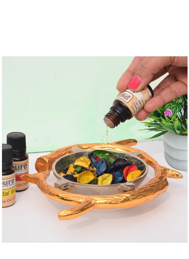 بيور زيت ناشر للروائح العطرية الهندية من بيور سورس، زيت اللافندر، عشب الليمون، الورد، الياسمين، خشب الصندل والموغرا، 15 مل، كل مجموعة متعددة الألوان مكونة من 6 قطع - Image 3