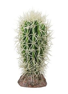 Hobby Cactus Great Basin 