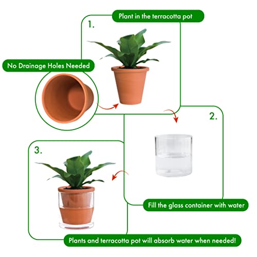 D'vine Dev 4 Inch Design Self Watering Pot for Indoor Plants, Terracotta Planter with Cylinder Glass Cup, 37-X-A-1 - Image 4