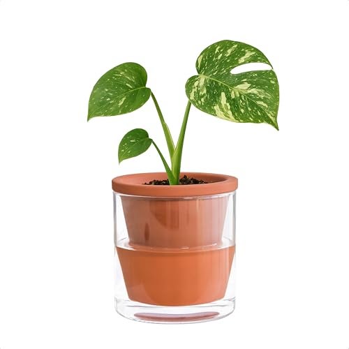 D'vine Dev 4 Inch Design Self Watering Pot for Indoor Plants, Terracotta Planter with Cylinder Glass Cup, 37-X-A-1 - Image 1