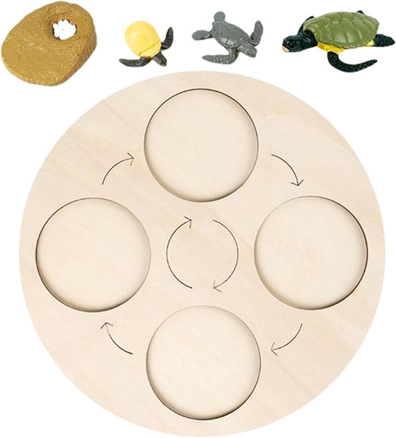 klarako Wooden Life Cycle Board Early #Educational Animals Learning for Preschool Children  Tortoise - Image 1