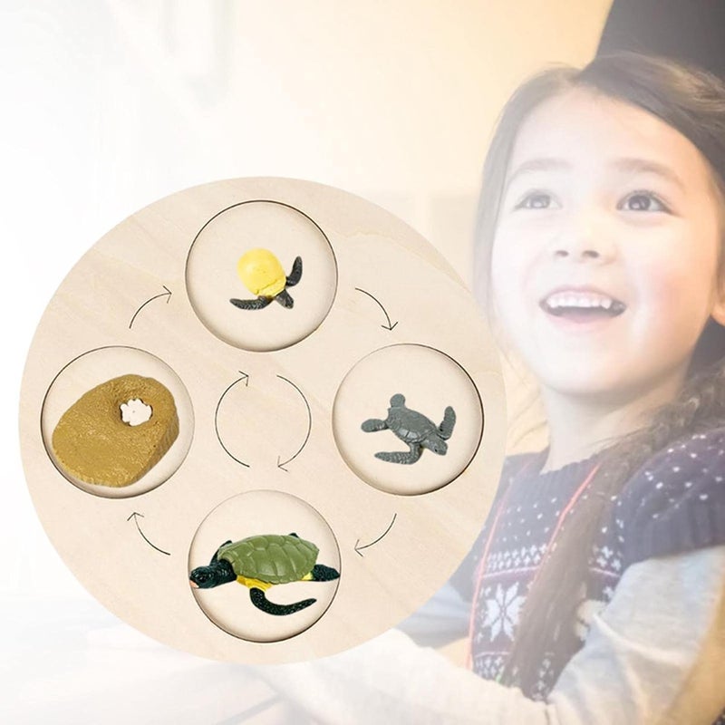 klarako Wooden Life Cycle Board Early #Educational Animals Learning for Preschool Children  Tortoise - Image 2