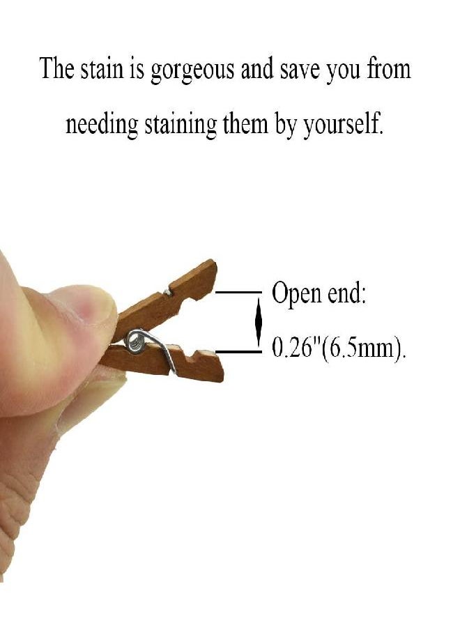 HAHIYO - HAHIYO Brown Wooden Clothes Pins Clothespins Mini Aviod Fall Apart 1 Inches Length 80 Pack Strong Springs No Rust No Discoloration for Laundry Bathroom DIY Craft Photos Food Opened Bags - Image 1