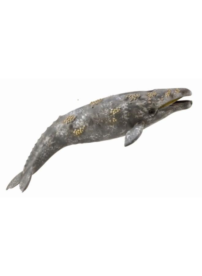 CollectA Gray Whale - Image 1