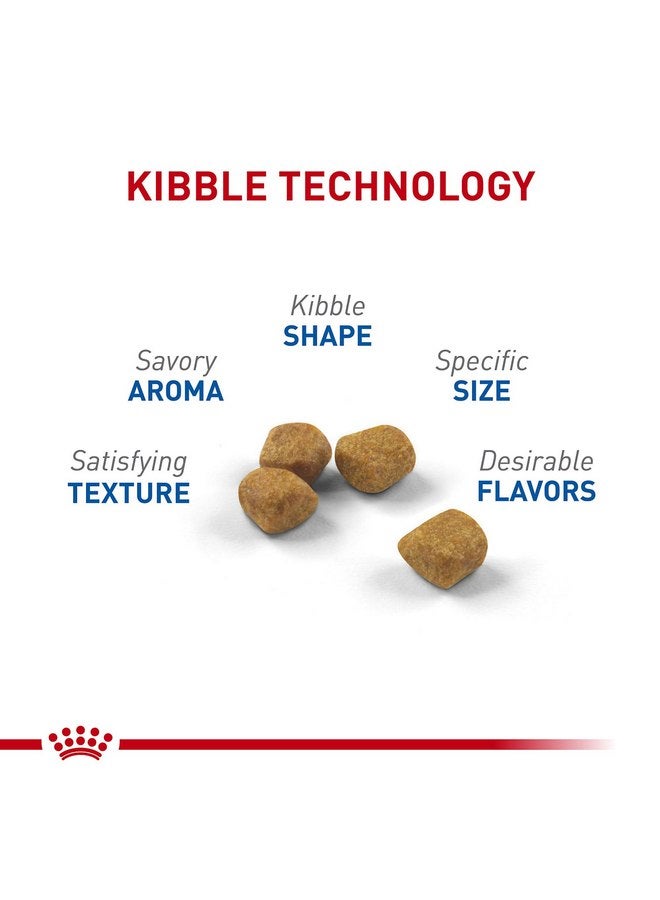 رويال كانين طعام القطط الجافة رويال كانين اندور 7+ للبالغين، كيس 5.5 رطل - Image 2