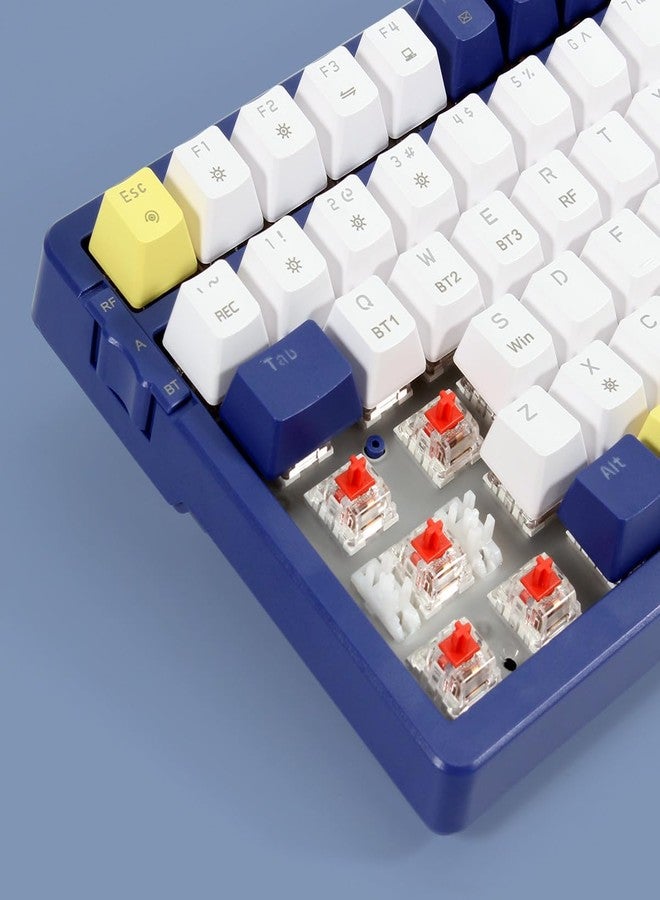 Merdia Wireless Mechanical Keyboard, Triple Mode 2.4G/USB-C/BT Gaming Keyboards 100 Keys Ice-Blue Backlit, Red Switch Keyboard | Rechargeable Mechanical Gaming Keyboards | Blue/White/Yellow - Image 5