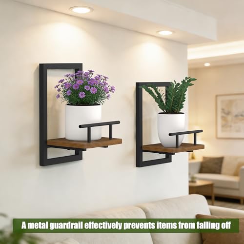 MTGSTOCL 2-Pack Floating Shelves for Indoor Plants, Wall Mounted Storage Shelves for Bedroom, Living Room, Kitchen, Office, Bathroom Decor - Image 3