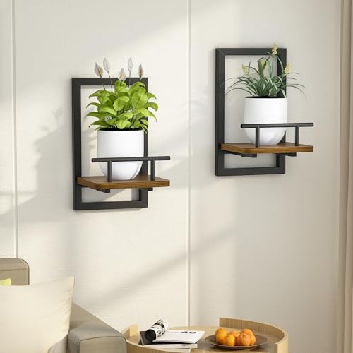MTGSTOCL 2-Pack Floating Shelves for Indoor Plants, Wall Mounted Storage Shelves for Bedroom, Living Room, Kitchen, Office, Bathroom Decor - Image 1