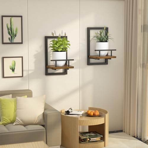 MTGSTOCL 2-Pack Floating Shelves for Indoor Plants, Wall Mounted Storage Shelves for Bedroom, Living Room, Kitchen, Office, Bathroom Decor - Image 4