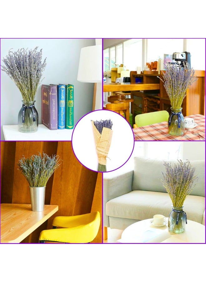 Chase Up Dried Lavender Flowers Bundles 100% Natural Real Dry Flower for Home Decorations,Home Fragrance 350+ Stems  - Image 2