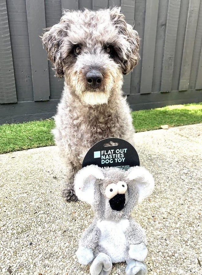 Fuzzyard Flat Out Nasties Stuffing Free No Mess Dog Toy, Assorted (Koala) - Image 2