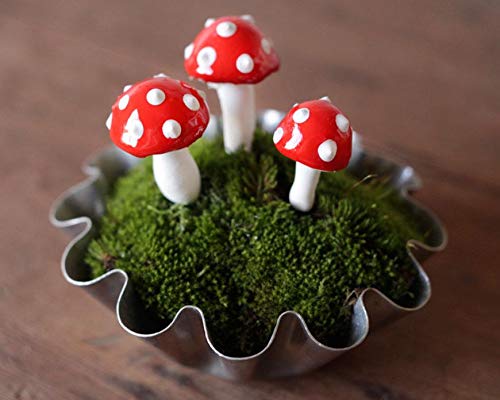 Krisah Wood, Foam, Paper 5 Pcs Butterflies Stakes,10 Pcs Mushrooms, 10 Pcs Honeybees & 10Pcs Ladybugs Garden/Plant Décor,Multi Color,Small - Image 3