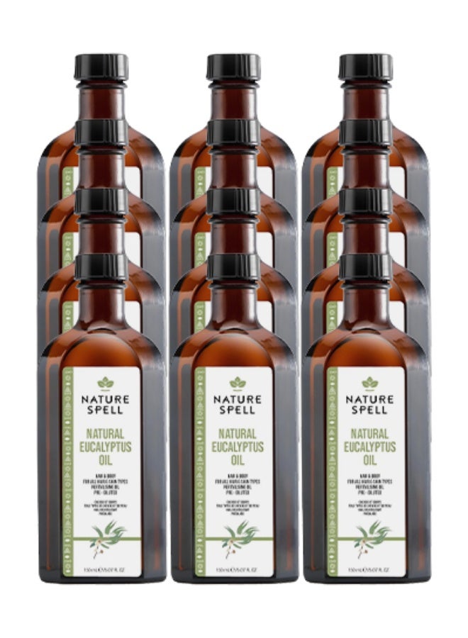 نايتشر سبيل 12 قطع زيت الأوكالبتوس الطبيعي للشعر والجسم مناسب لجميع أنواع الشعر والبشرة زيت مُنشط مُخفف مسبقًا 150 مل - Image 1