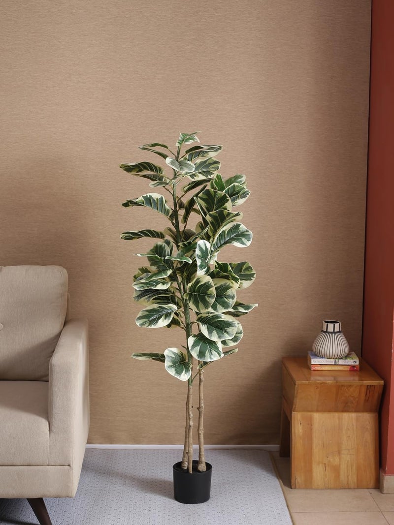Home Bloom Artificial Fiddle Leaf Fig Variegated Plant with Pot Natural Looking Silk Tree Indoor Evergreen for Home OfficeLiving RoomPatio Decor Green 150 cm Tall