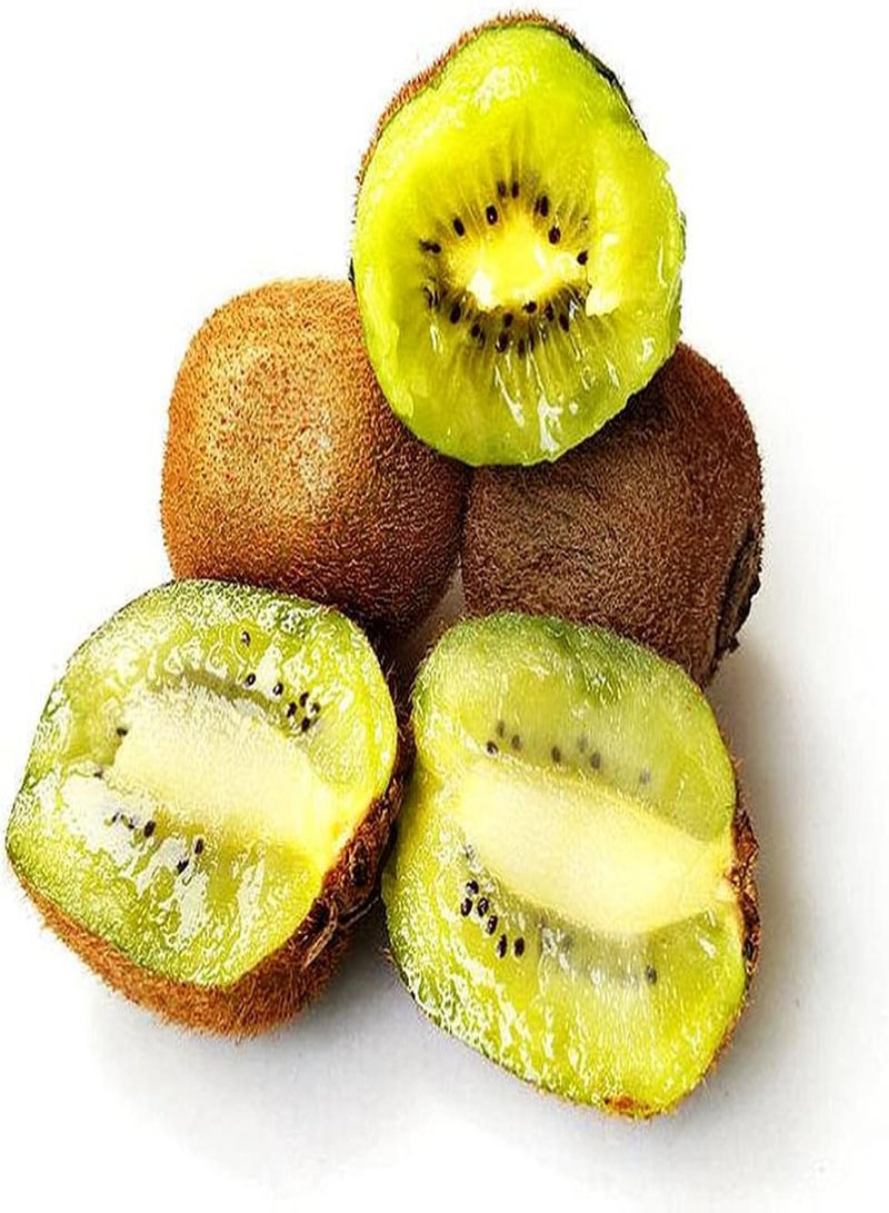 جي جوت 100 قطعة من بذور فاكهة الكيوي للزراعة في الحدائق الخارجية، فاكهة ذات لحم أخضر، رائحة خاصة، نبات معمر تراث، سهل الصيانة - Image 2