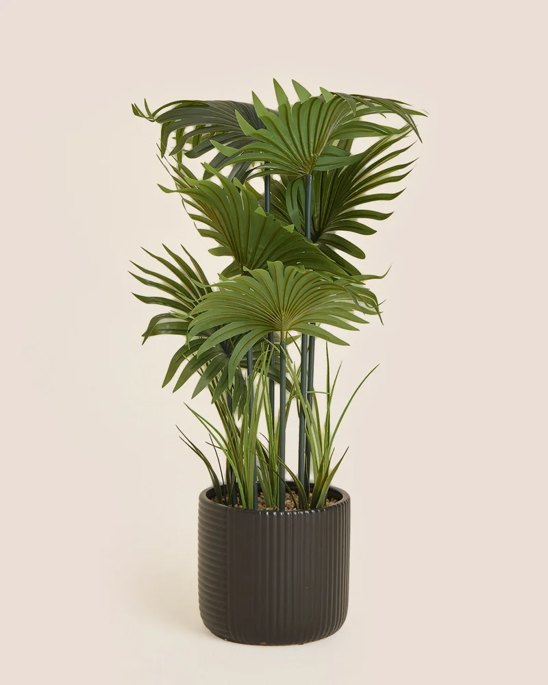 REDTAG Green Artificial Fan Palm in Black Ceramic Pot