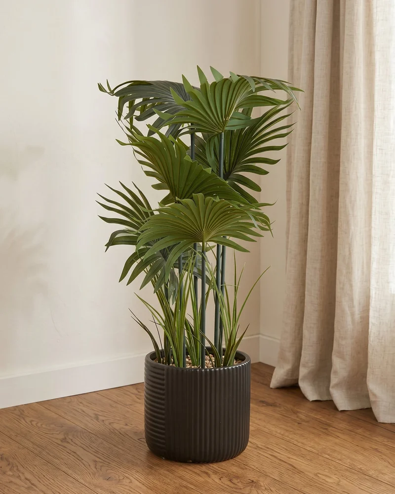 REDTAG Green Artificial Fan Palm in Black Ceramic Pot