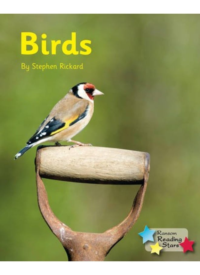 Birds  - Image 1