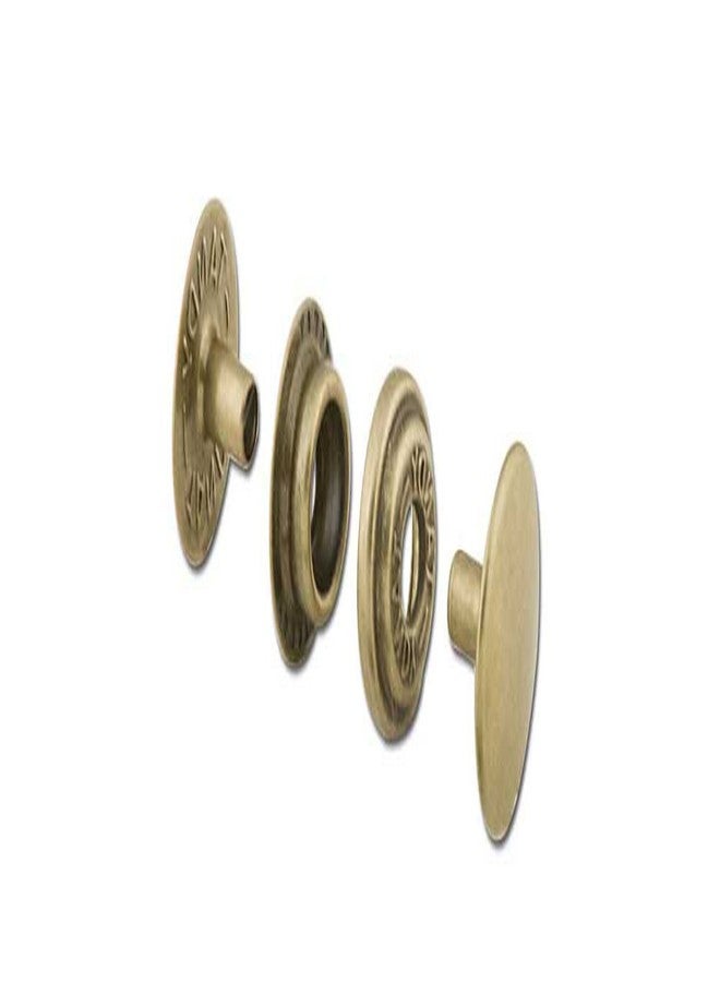 تاندي ليذر مجموعة تاندي الجلدية، 24 زر كبس، لوحة نحاسية عتيقة، 10 قطع/عبوة، 1263-04