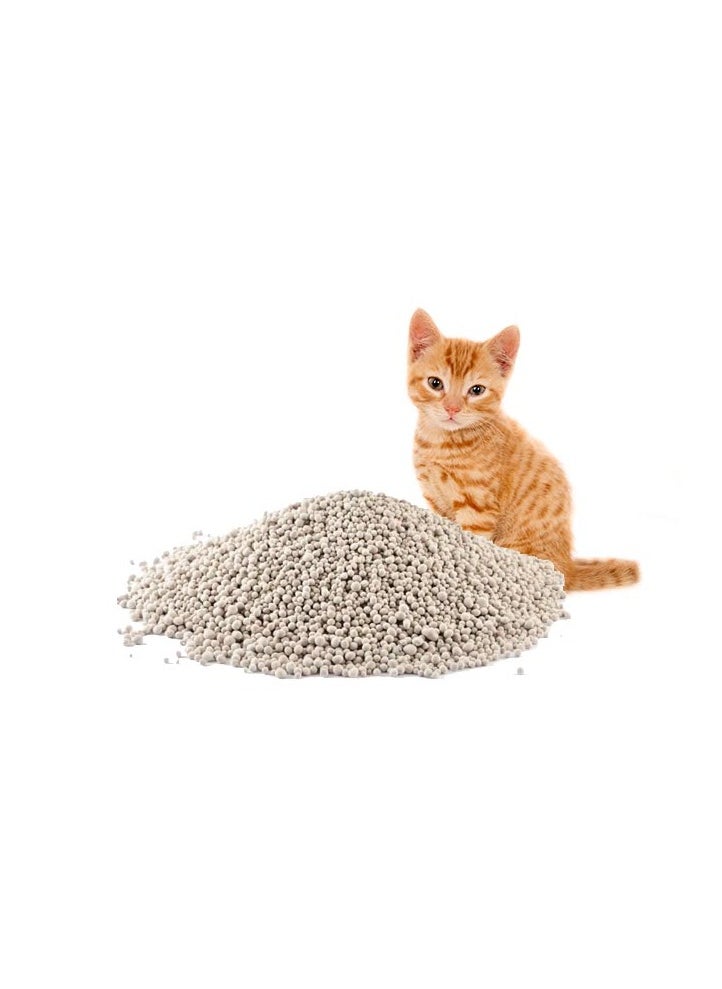 Vita Maxx - Vita maxx Clumping Cat Litter (10L, Apple) - Image 1
