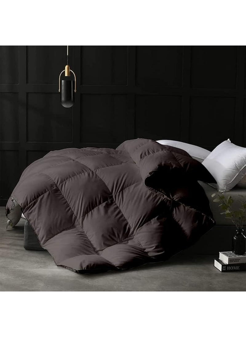 Razzai MammaYo Razzai 500 GSM Winter Comforter Premium Collection Quilted Comforter 92 x 106 Inches233cm x 269cm King Size ComforterDark Grey lightweight Microfibre 